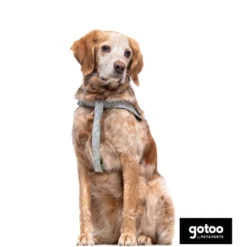 Gotoo Peitoral estampado folhas para cães
