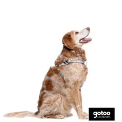Gotoo Peitoral estampado folhas para cães