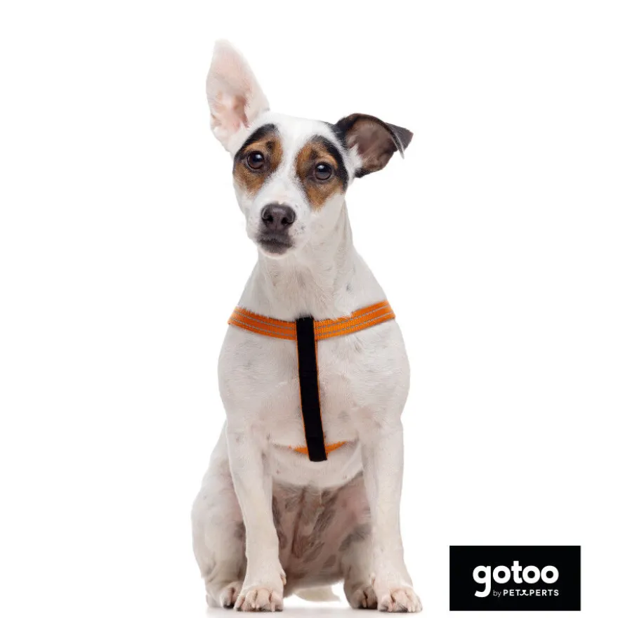 Gotoo Peitoral nylon laranja reflexivo para cães