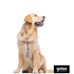 Gotoo Peitoral riscas zig- zag para cães