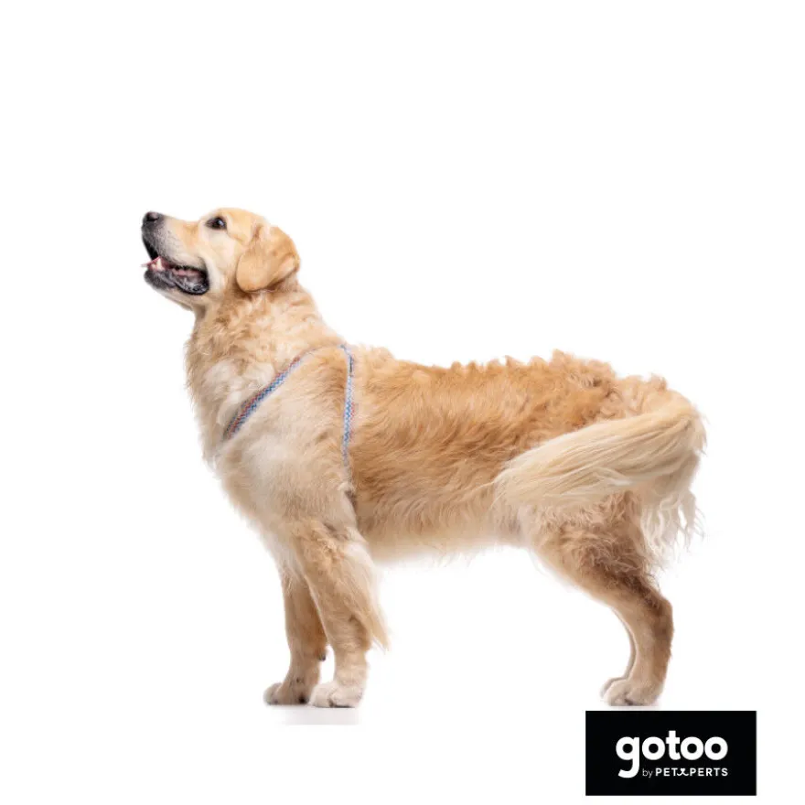 Gotoo Peitoral riscas zig- zag para cães