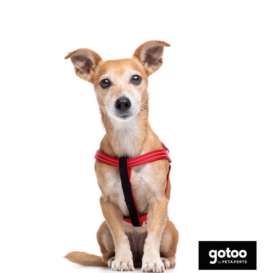 Gotoo Peitoral vermelho de nylon refletor para cães