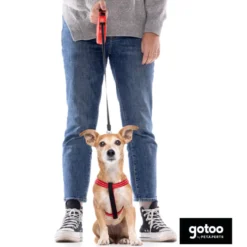 Gotoo Peitoral vermelho de nylon refletor para cães