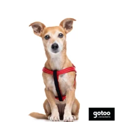Gotoo Peitoral vermelho de nylon refletor para cães