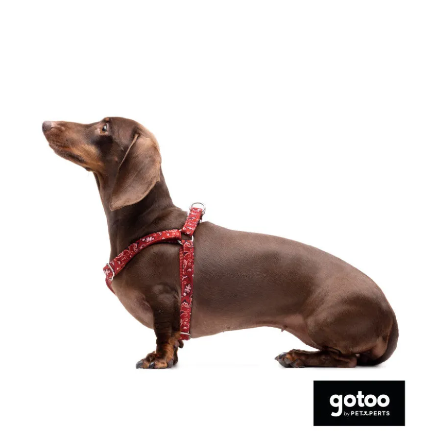 Gotoo Peitoral vermelho estampado caxemira para cães