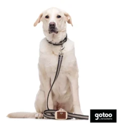 Gotoo Porta-sacos de silicone castanho para cães