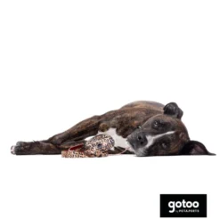 Gotoo Porta sacos estampado leopardo castanho para cães