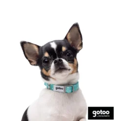 Gotoo Set de Coleira e Trela estampada verde para cães