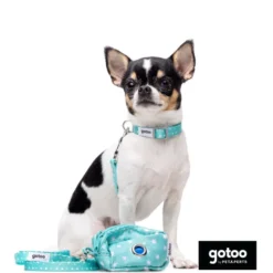 Gotoo Set de Coleira e Trela estampada verde para cães