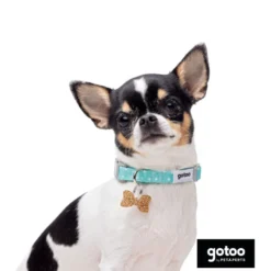 Gotoo Set de Coleira e Trela estampada verde para cães