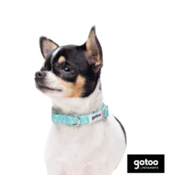Gotoo Set de Coleira e Trela estampada verde para cães