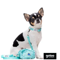 Gotoo Set de Coleira e Trela estampada verde para cães