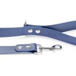 Gotoo Trela Biothane azul para cães