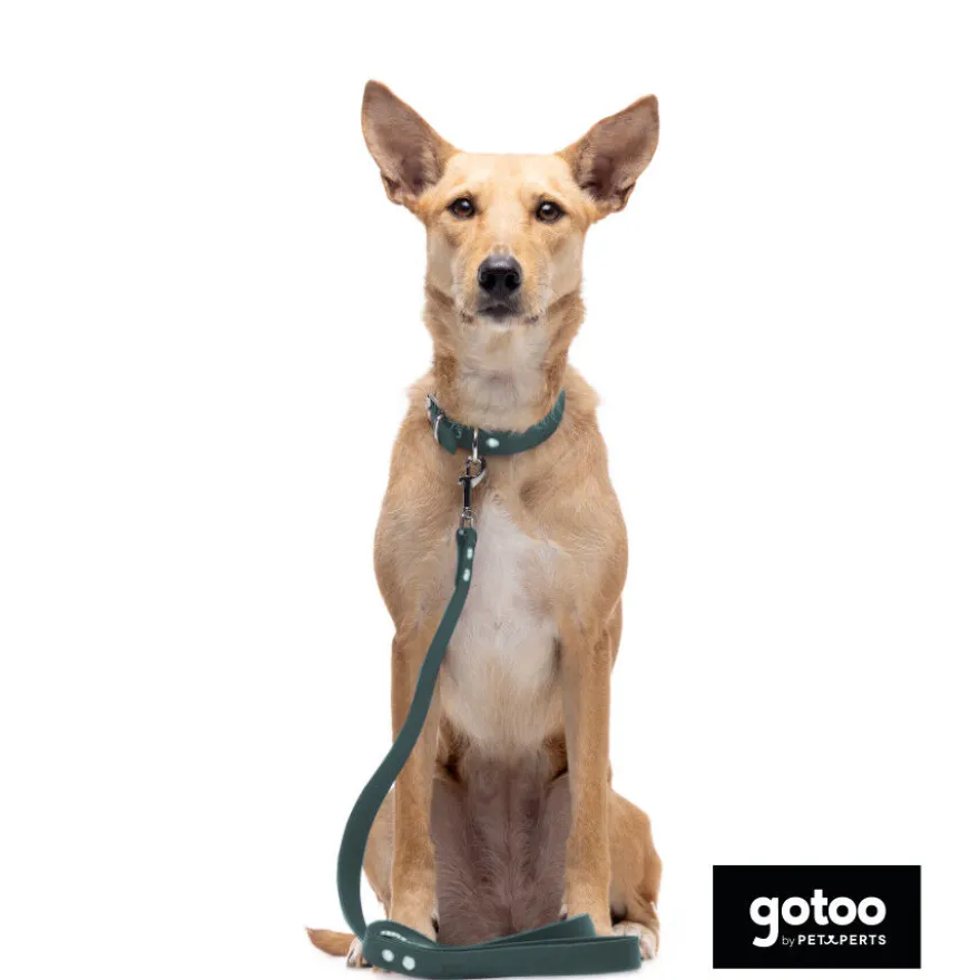 Gotoo Trela Biothane verde para cães