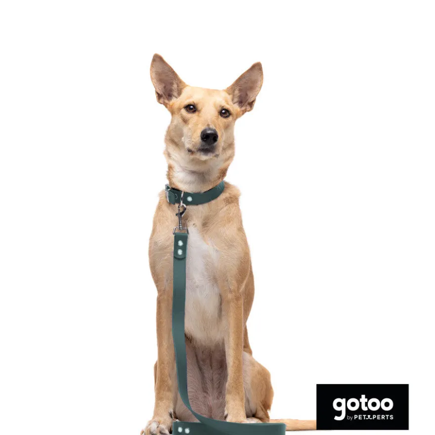 Gotoo Trela Biothane verde para cães
