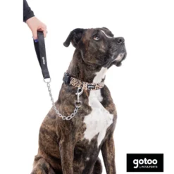 Gotoo Trela com corrente para cães