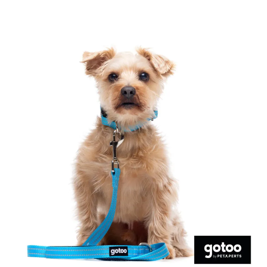Gotoo Trela de nylon refletora azul para cães