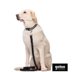 Gotoo Trela dupla para cães