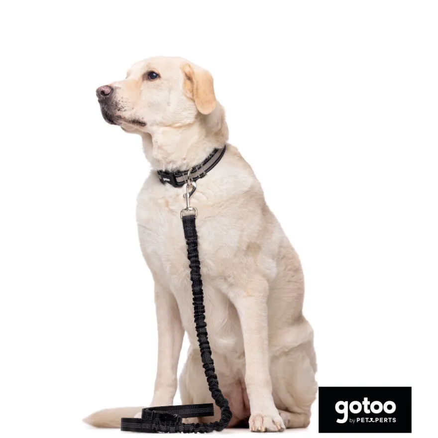 Gotoo Trela dupla para cães