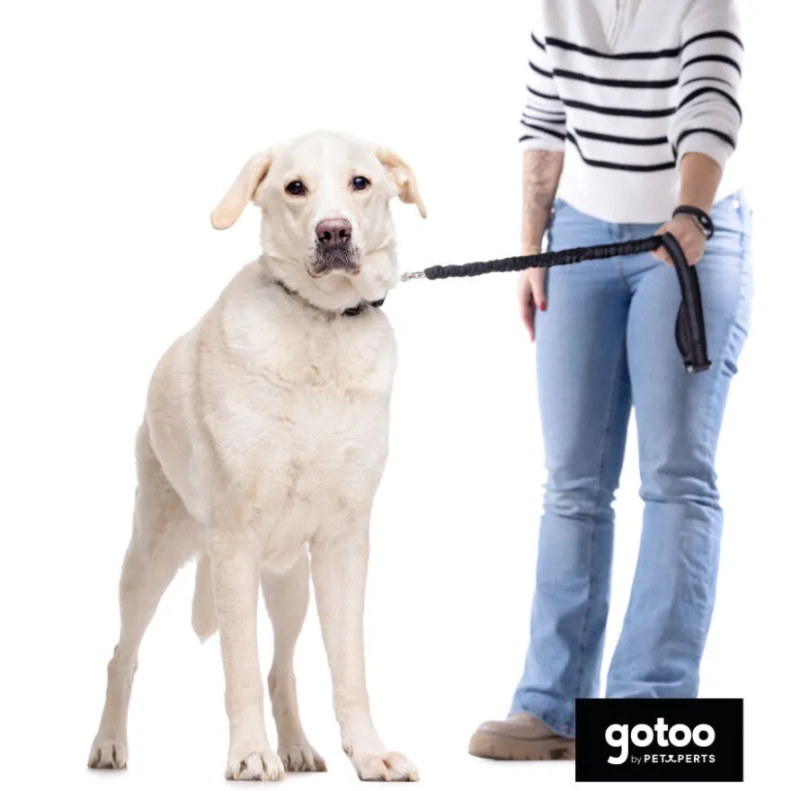 Gotoo Trela dupla para cães