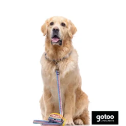 Gotoo Trela Estampada com Riscas Zig-Zag para Cães