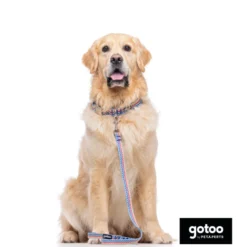 Gotoo Trela Estampada com Riscas Zig-Zag para Cães