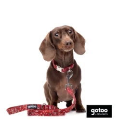Gotoo Trela estampada de caxemira vermelha para cão