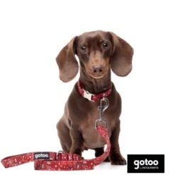 Gotoo Trela estampada de caxemira vermelha para cão