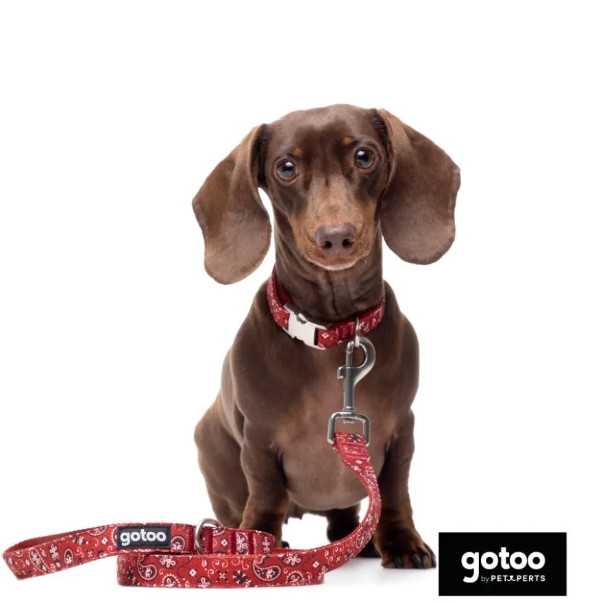 Gotoo Trela estampada de caxemira vermelha para cão