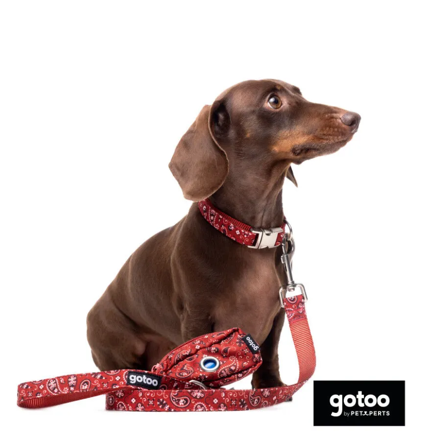 Gotoo Trela estampada de caxemira vermelha para cão