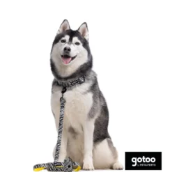 Gotoo Trela estampada zebra para cães