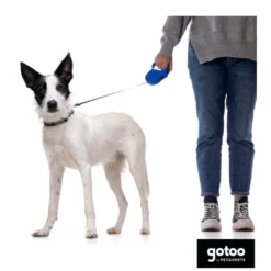 Gotoo Trela extensível azul para cães