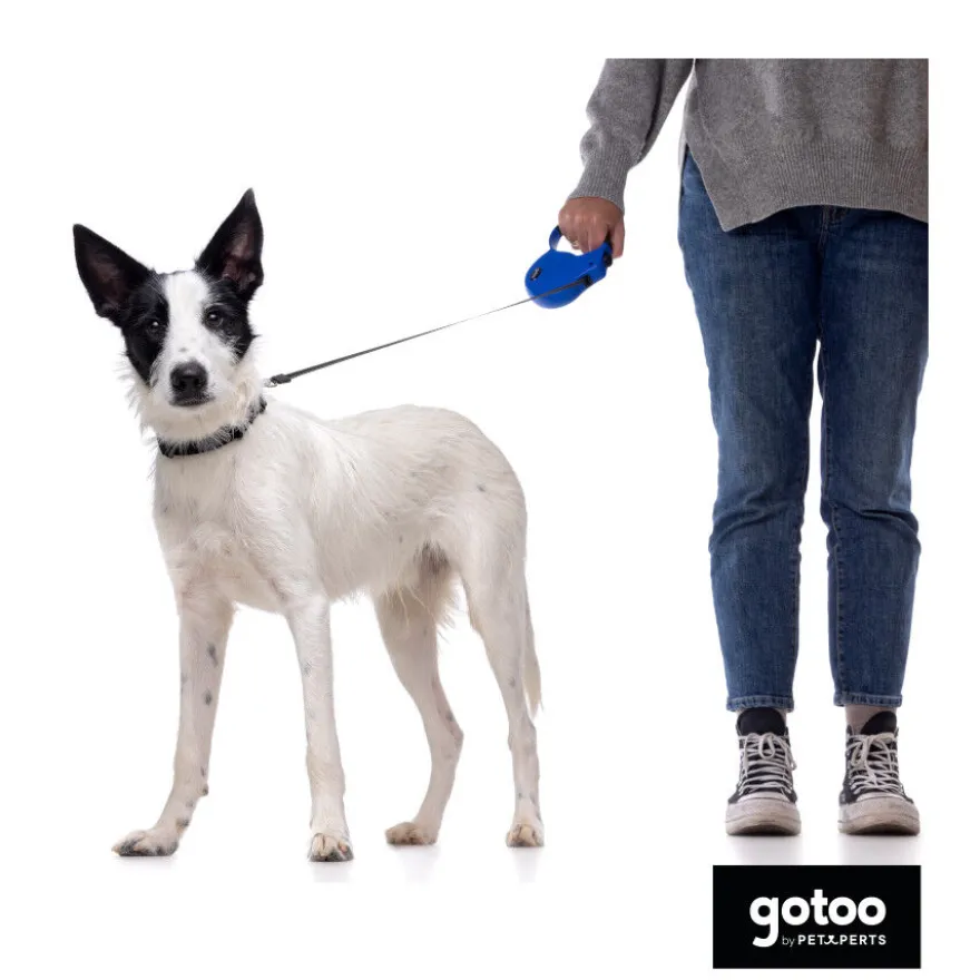 Gotoo Trela extensível azul para cães