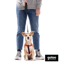 Gotoo Trela extensível preta para cães