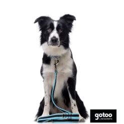 Gotoo Trela mesh turquesa refletora para cães