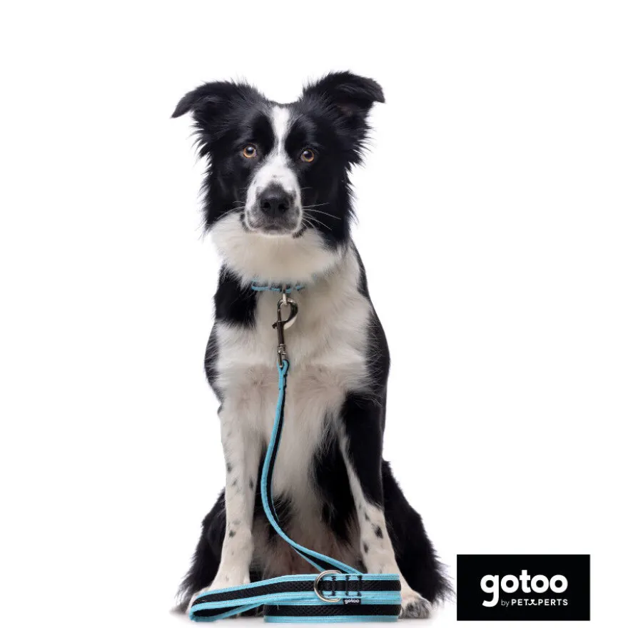 Gotoo Trela mesh turquesa refletora para cães