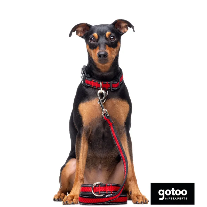 Gotoo Trela mesh vermelha refletora para cães