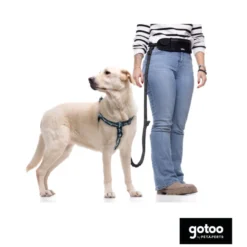 Gotoo Trela mãos livres preta para cães