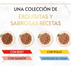 Gourmet Gold Delicias Suculentas Multipack de Paté Mistos para gatos