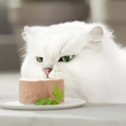 Gourmet Gold Mousse de Carne de Vaca em lata para gatos