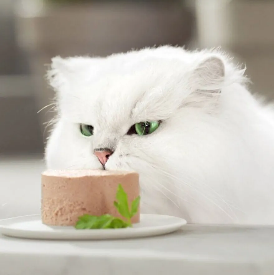 Gourmet Gold Mousse de Frango em lata para gatos