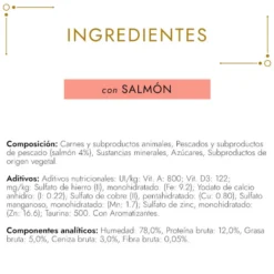 Gourmet Gold Terrine Salmão em lata para gatos