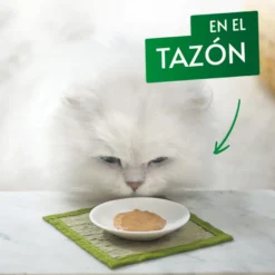 Gourmet Nature's Creations Snack Húmido de Salmão para gatos
