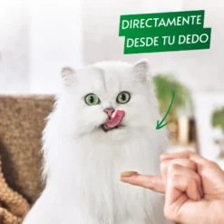 Gourmet Nature's Creations Snack Húmido de Salmão para gatos
