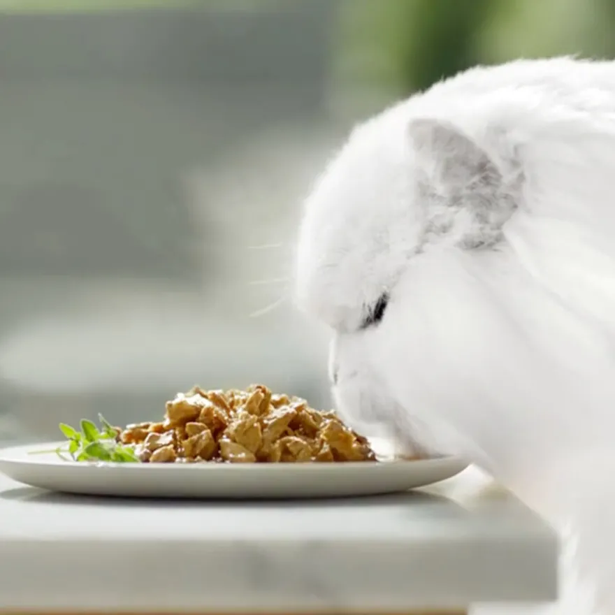 Gourmet Perle Duo Alimento húmido de peixes para gatos - Pack