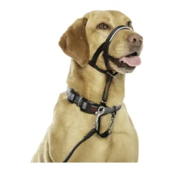 Halti Coleira anti-puxão para cão
