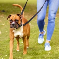 Halti Coleira Optfit anti-puxão preta para cães