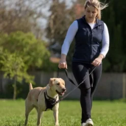 Halti Trela de treino preta para cães