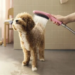 Hansgrohe Chuveiro Cor-de-rosa para cães