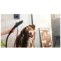 Hansgrohe Chuveiro Preto para cães